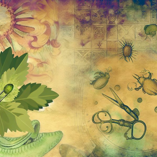 Postoperatieve Wond met Pus - Vintage Illustratie Een close-up van een postoperatieve wond met een druppel gele-groene pus, omgeven door vintage medische instrumenten in zachte kleuren.