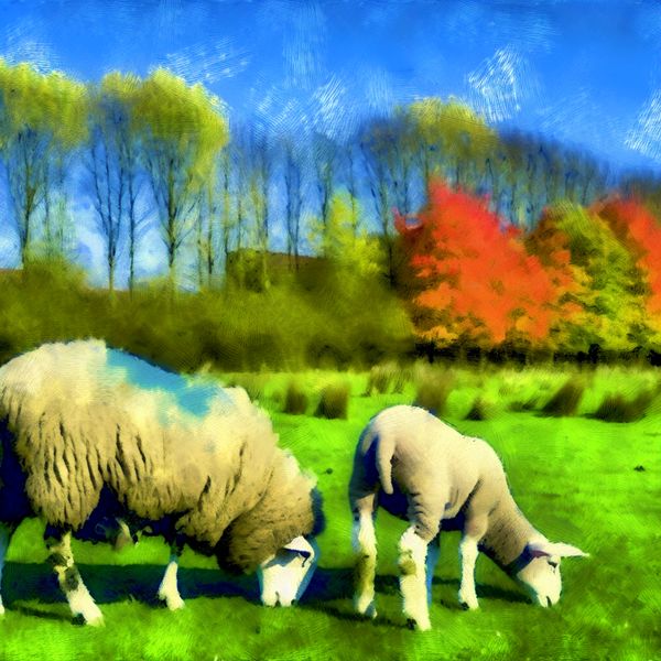 Schapen in een Herfsts Landschap Een paar schapen grazen vredig in een groene weide omringd door kleurrijke herfstbomen en een blauwe lucht.